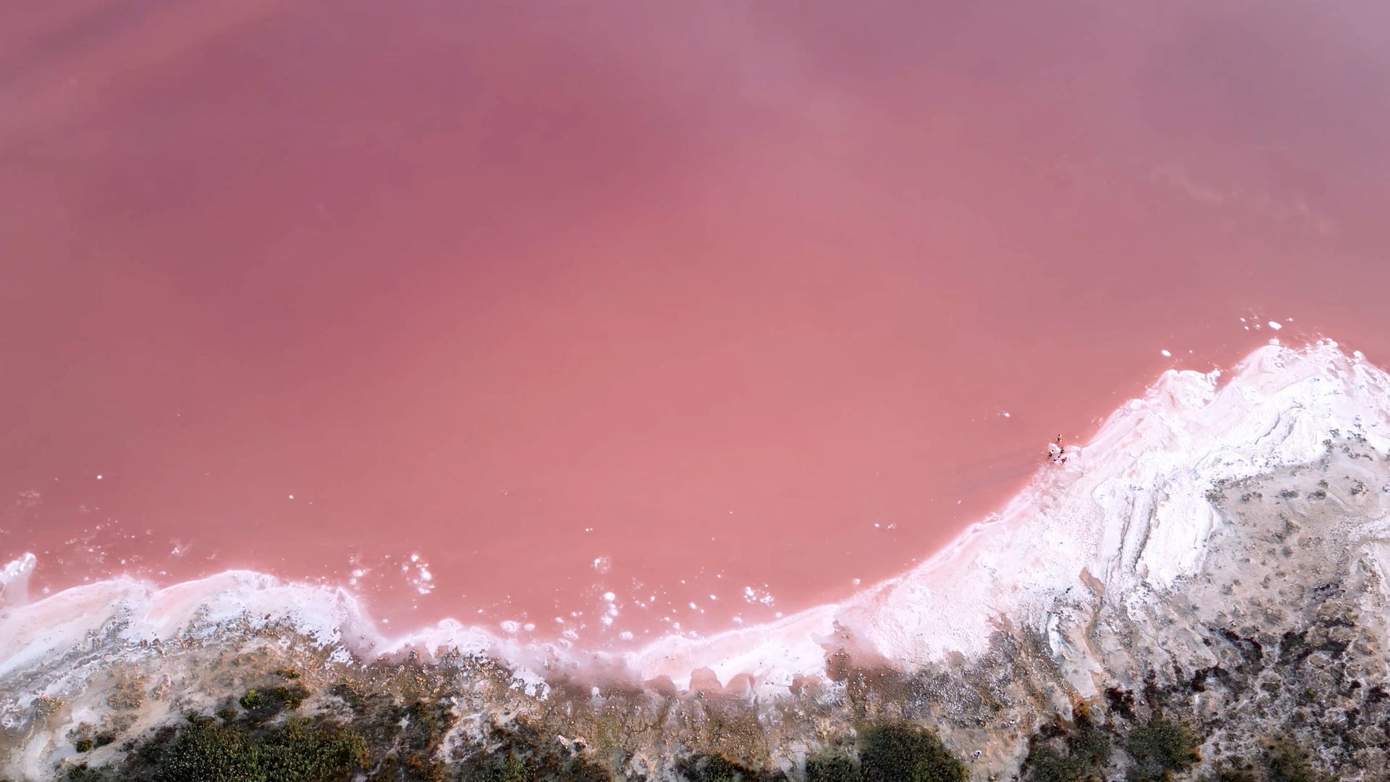 GUARDAMAR - CIUDAD QUESADA - SAN MIGUEL DE SALINAS